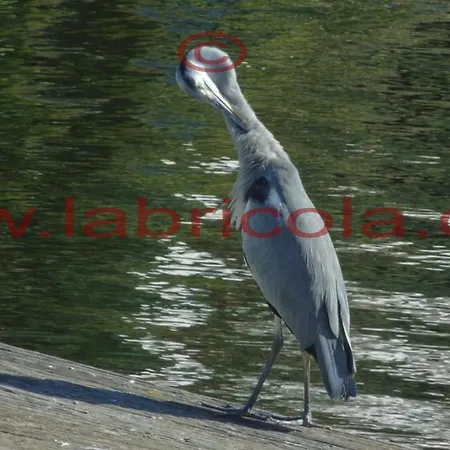 Laghi Di Sibari La Bricola Trilocale 6 Apartament