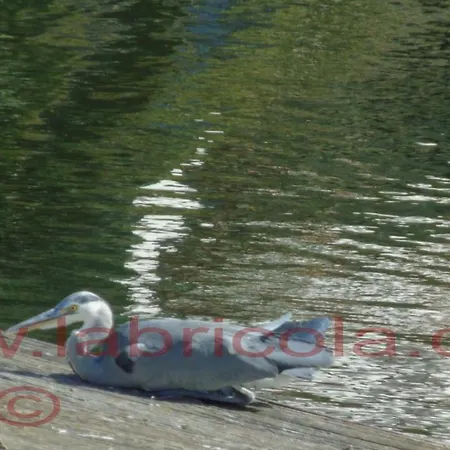 Laghi Di Sibari La Bricola Trilocale 6 Apartament *